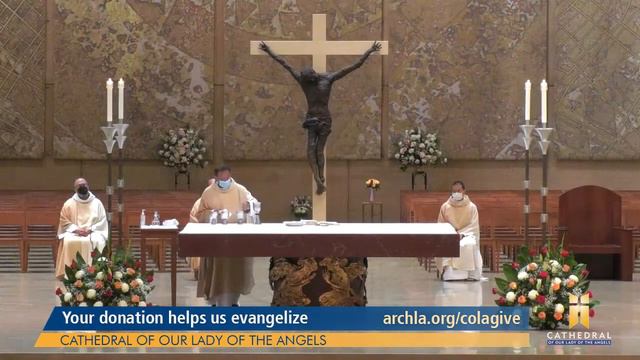 Memorial of the Blessed Virgin Mary, Mother of the Church смотреть онлайн