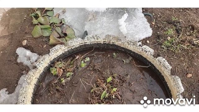 Заказали дрова #горбыль с пилорамы. смотреть онлайн