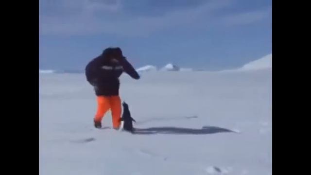 Всего 7 секунд а смеха на 5 минут! D смотреть онлайн