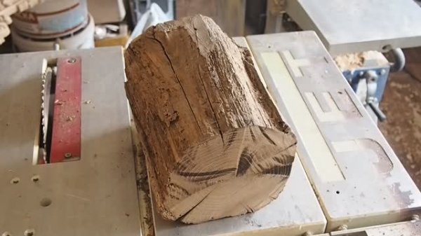 Старое бревно