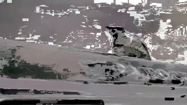 СМЫШЛЕНЫЙ ВОРОН смотреть онлайн