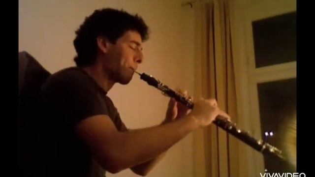 Дерев'яні - духові інструменти : кларнет , гобой, фагот. смотреть онлайн