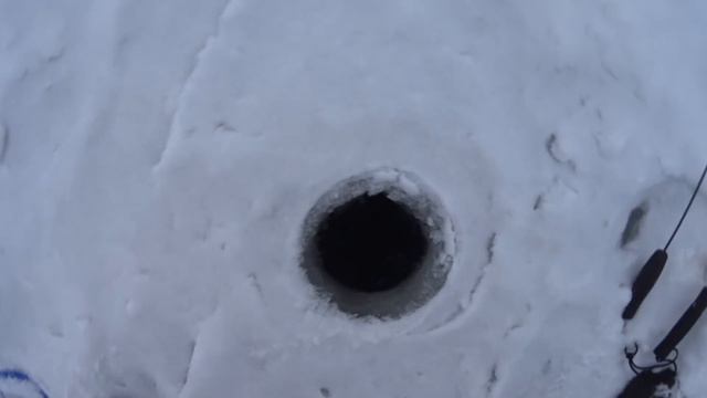 В поисках МОНСТРОВ 2019. Крупная щука была поймана. Рыбалка на жерлицы 1 января 2019. смотреть онлайн