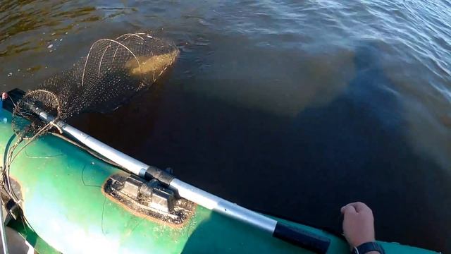 Рыбалка на леща. Ловля на кольцо. Волга .Голавль, Лещ, Плотва. смотреть онлайн