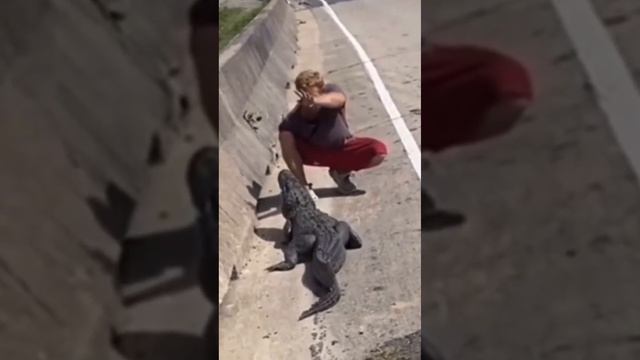 We're going viral bro смотреть онлайн