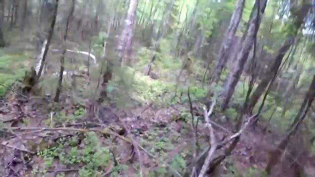 В поисках золота! Поиск пропавшей деревни, Дмитрий Мусихин смотреть онлайн