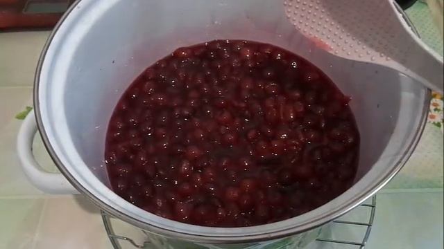 Вяленая вишня в сушилке Волтера 1000.Первый вариант. смотреть онлайн