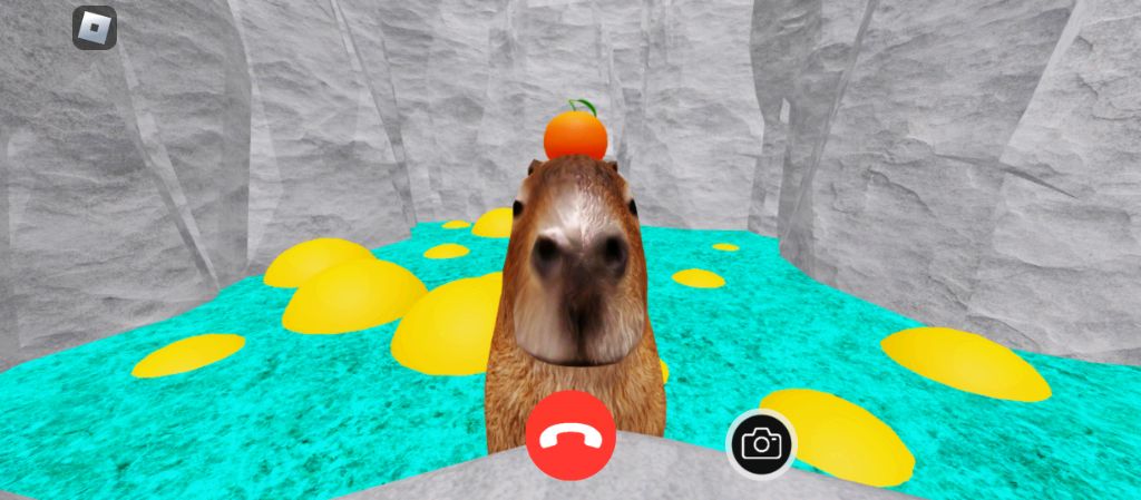 Капибара смотреть онлайн