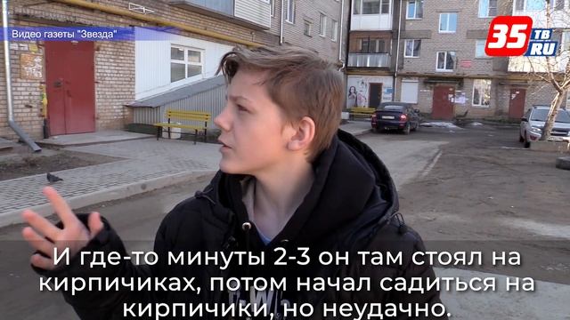 Шекснинский школьник спас ребенка, выпавшего из окна смотреть онлайн