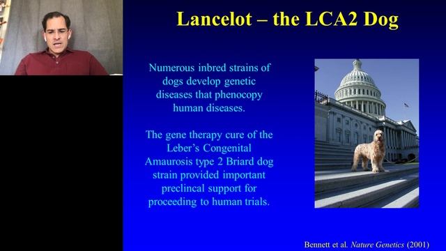 Directed Evolution of Next-Generation AAV Vector Systems for Clinical Gene Therapy смотреть онлайн