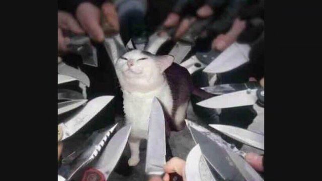 Как научиться кодить С НУЛЯ смотреть онлайн