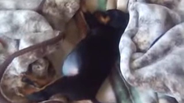 Сладкий сон после долгой дороги.3gp смотреть онлайн
