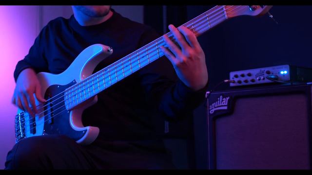 ESP Original Custom Shop MAZE-AS-SL5 Bass Guitar смотреть онлайн
