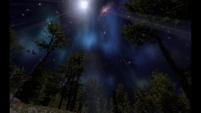 Сегодня пик звездопада - Успейте загадать своё желание. смотреть онлайн