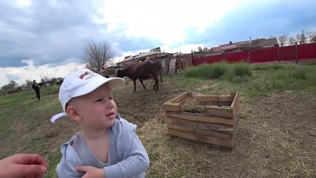 1 мая в деревне Ростов-на-Дону Самоизоляция смотреть онлайн