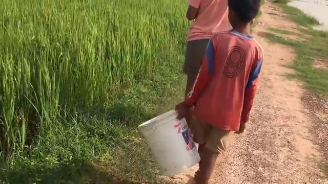 Сильный мужчина, ловля рыбы на рыбалке в камбоджийском рыболовстве в Баттамбанге #26 смотреть онлайн