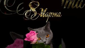 ?Анатолий Буга
На 8 Марта Я Поздравляю Вас Мои Родные. ? ????Монтаж Байрам Байрам.?