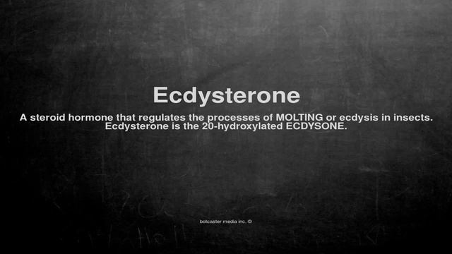 Medical vocabulary: What does Ecdysterone mean смотреть онлайн