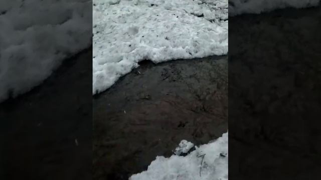 Речка-реченька речушка