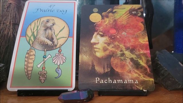 Leo Weekly Astro Oracle- Deep Gratitude смотреть онлайн