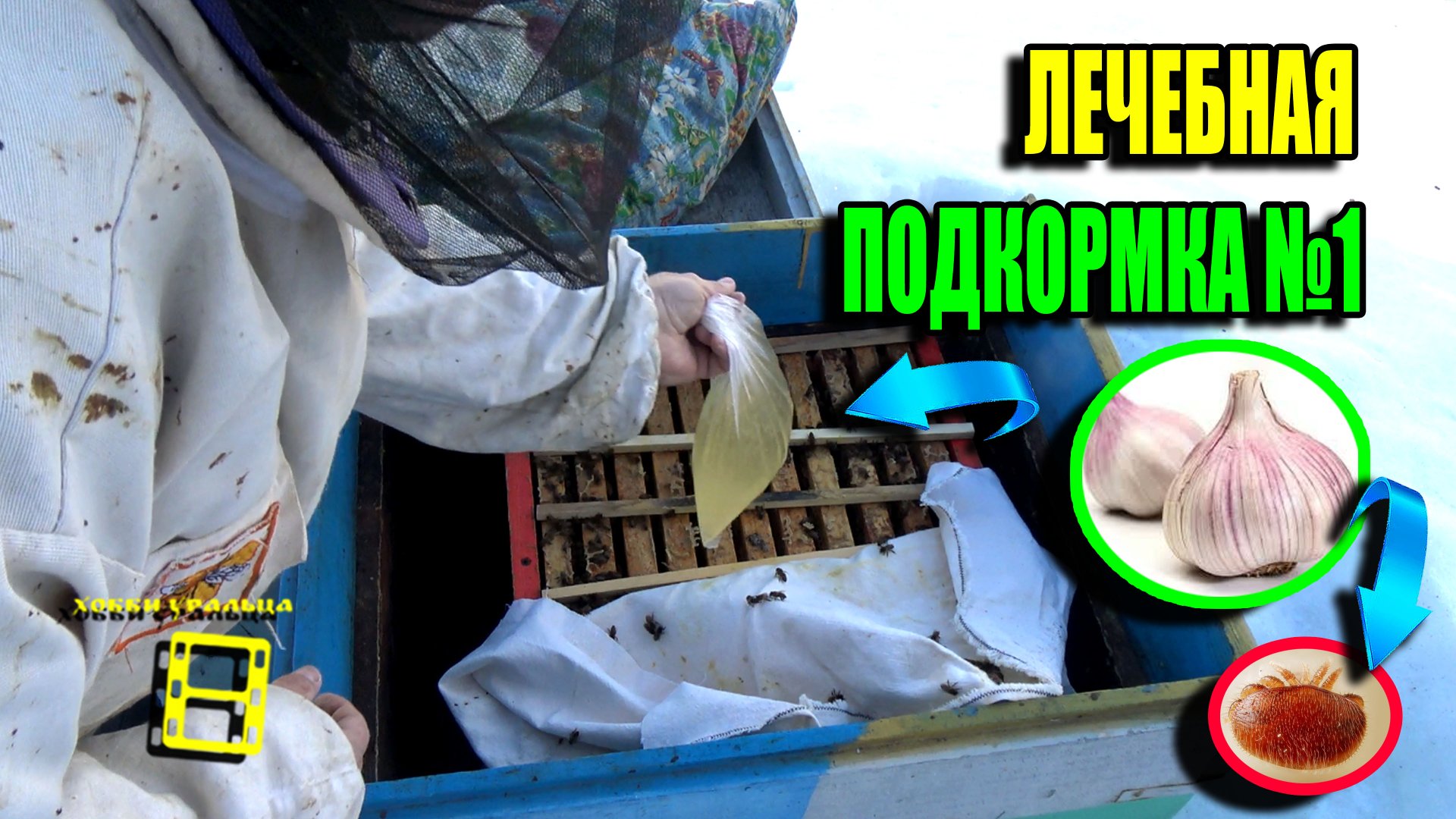 ЛЕЧЕБНАЯ ПОДКОРМКА ПЧЕЛ ВЕСНОЙ №1 С ЧЕСНОКОМ. ЛЮБИТЕЛЬСКОЕ ПЧЕЛОВОДСТВО 23-10 смотреть онлайн