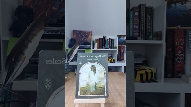 Daily Oracle Card Reading for July 14th with the Wisdom of The Hidden Realms deck. смотреть онлайн