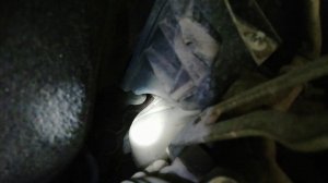 Пропуски воспламенения по всем цилиндрам