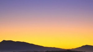 Surf Curse - Freaks (Lyrics) "Don't cry I am just a freak" [TikTok Song]