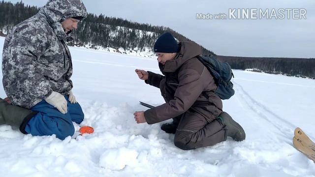 В таежной избушки 2 недели. Как это было! Ловля щуки на донки. смотреть онлайн