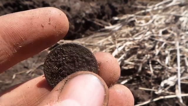 Коп монет 2018 в жилой деревне с металлоискателем minelab. Найдена медная монета 5 копеек масон смотреть онлайн