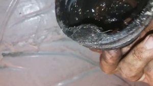 Замена пыльника привода (Трипоида)