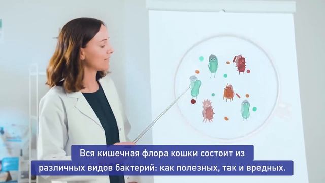 Корм Sanabelle для кошек. Немецкое качество. смотреть онлайн