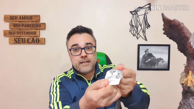 COMO ACABAR COM PULGAS E CARRAPATOS ➡️ TESTADO NA PRÁTICA!!! Simparic funciona? смотреть онлайн