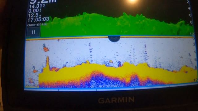 Прошло очень важное обновление на #Эхолот #Garmin #EChomap 73sv plus смотреть онлайн