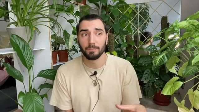 Народные средства для комнатных растений. Профилактика вредителей,удобрения и черенкование смотреть онлайн