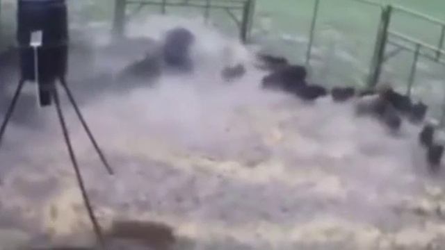 ? В хохлов летит киллер комбо ? Взрывы раздаются в Николаеве. На юге кружат «Гераньки», на Черниг смотреть онлайн