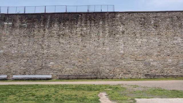 ПОБЕГ ОТ ЛЯГУШЕК | 6 СЕРИЯ смотреть онлайн