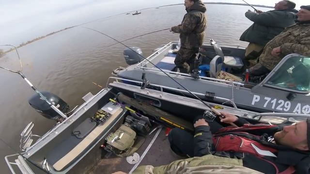 Рыбалка в Астрахани 2018 джиг. смотреть онлайн