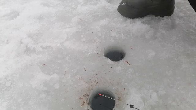 А вот и бонус, награда за труды смотреть онлайн