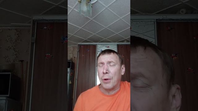 14 июля 2023 г. смотреть онлайн