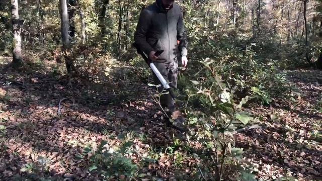 Minelab Go Find / Nokta Pointer /Define arama смотреть онлайн