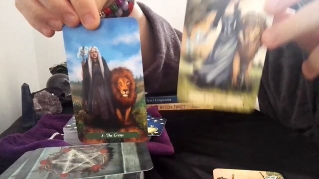 The Everyday Witch Tarot vs The Green Witch Tarot video comparison смотреть онлайн