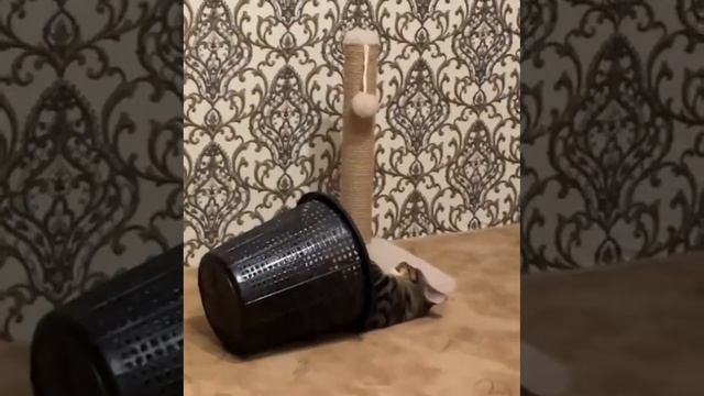 Устал смотреть онлайн