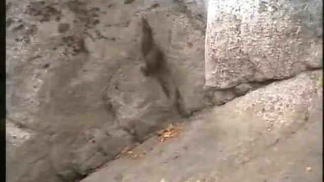 АНДРЕЙ ДАНЦЕВ ПО АЛТАЮ смотреть онлайн