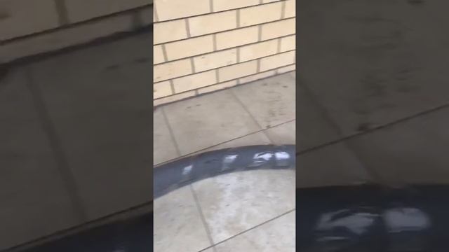 Честный отзыв о доставке Pletenev смотреть онлайн