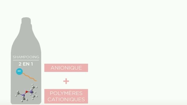 Formation Coiffeur L Cleansing Conditioners L'Oréal Professionnel