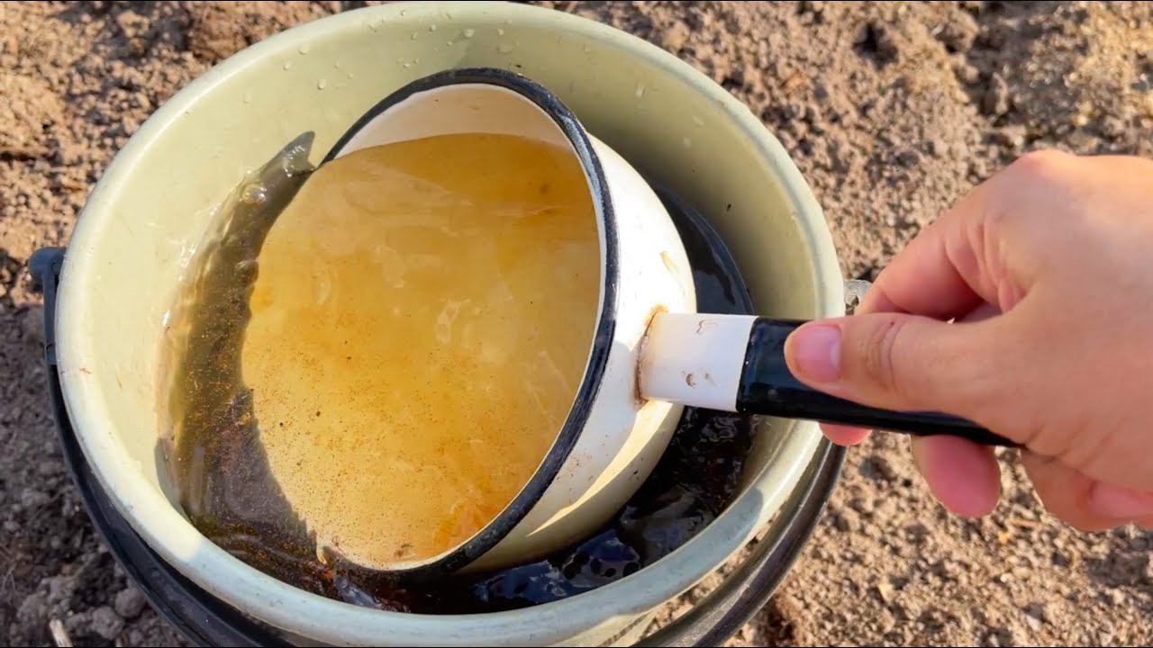 1 ЛОЖКУ НА ВЕДРО ВОДЫ И ЗЕМЛЯ КАК НОВАЯ! ПРОЛЕЙТЕ ЭТИМ ЗЕМЛЮ, ЧТОБЫ БЫЛ ОБИЛЬНЫЙ УРОЖАЙ смотреть онлайн