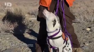 v s mobiРасследования журнала People   Странное исчезновение Карли Гузэ360p