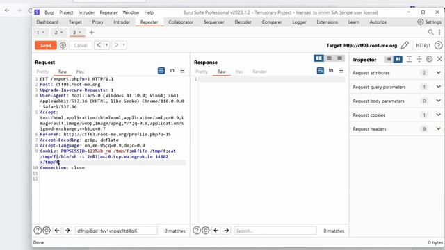 Get a reverse shell with ngrok and netcat - Gemini Pentest v2 Ep5 смотреть онлайн