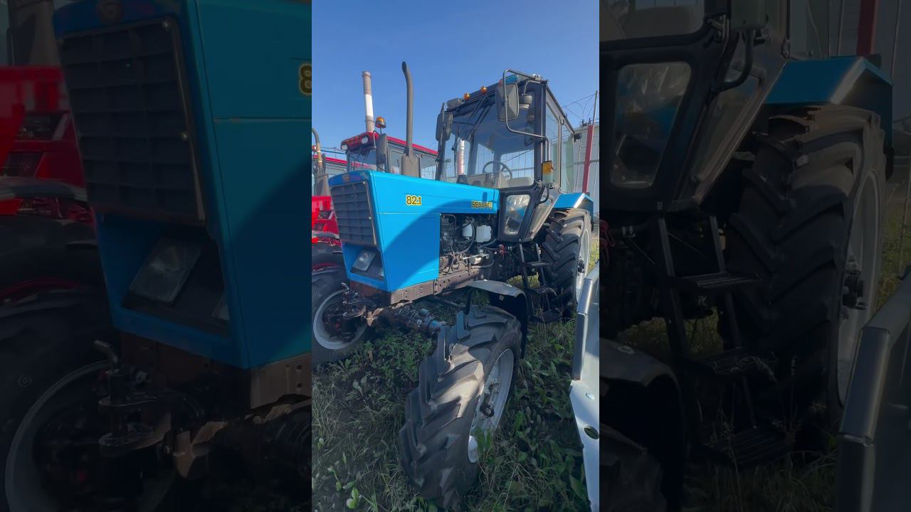 Ищу синий трактор Беларус #фермер #tractor #новыйбеларус #синийбеларус #shorts смотреть онлайн